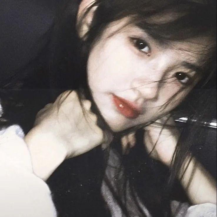 房子与狗