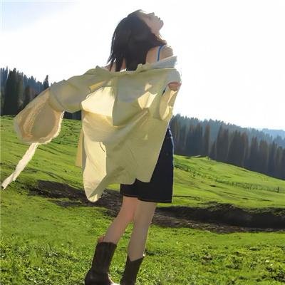 维尔·达斯：异乡游子